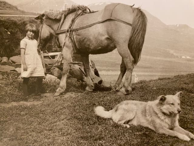 Lýsing Íslands 1920