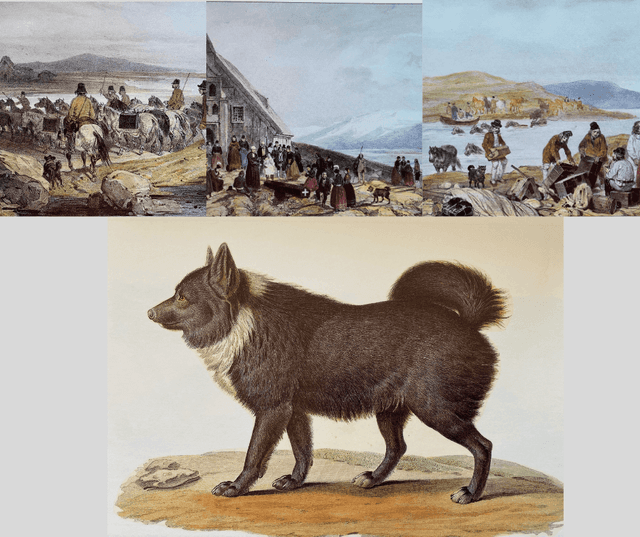 Islandsmyndir Mayers 1836