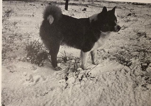 A bit of delving and reflections on the naming