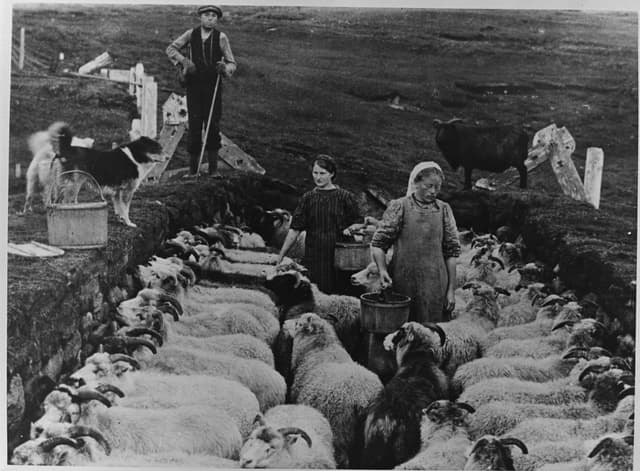 More reflexions on the naming