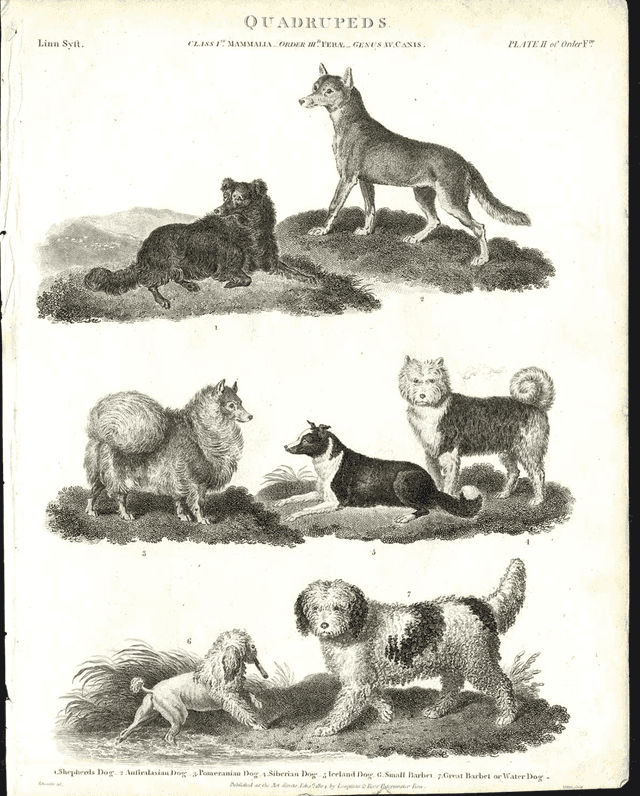 Historical illustrations