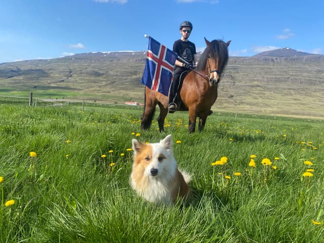 A living work of art