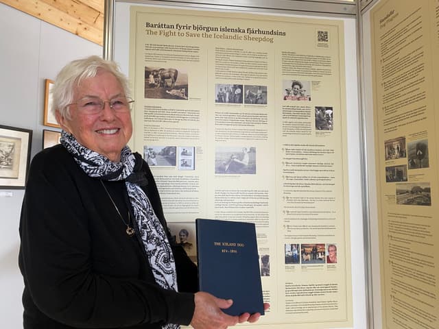 From Vision to Reality: The First Summer at the Icelandic Sheepdog Heritage Center