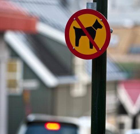 Dogs banned in Reykjavík for 60 years