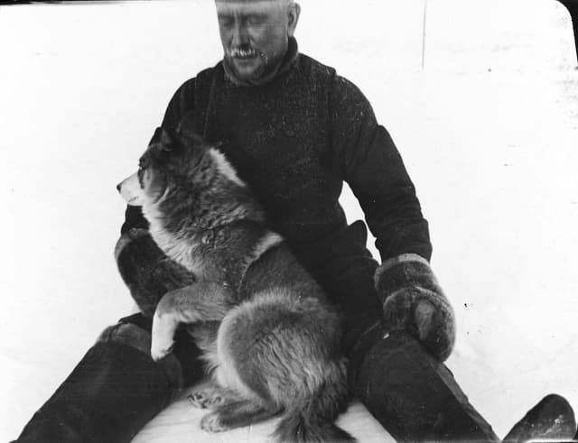 More about Gloí in Greenland