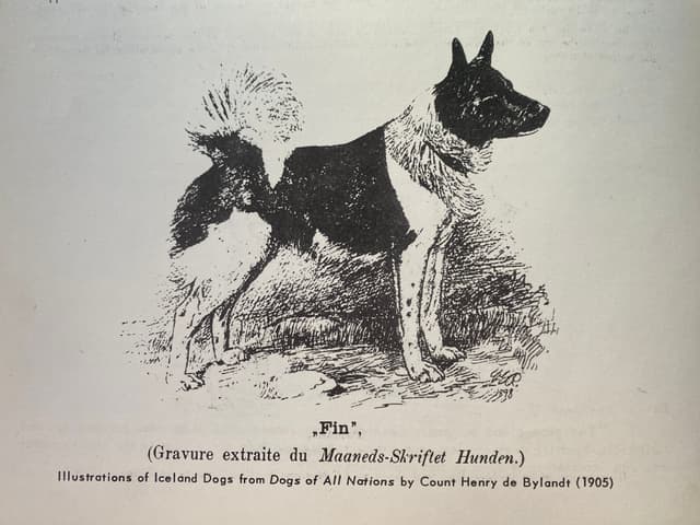Les Races de Chiens (1897)
