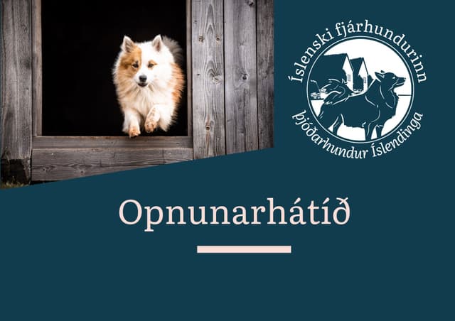 Opening ceremony - Icelandic Sheepdog Heritage Center